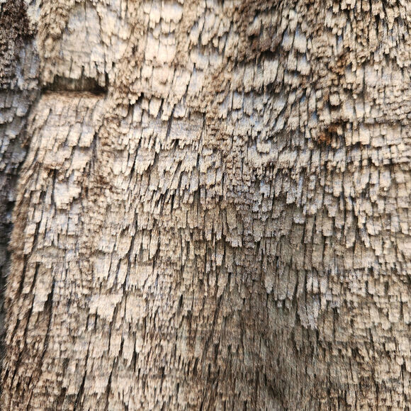 SHARON YOUNG  cropped shiny faux fur SWING JACKET size large - Picture 8 of 8